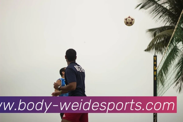 伟德体育APP 高清赛事图